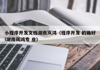 小程序开发文档湖南岚鸿（程序开发 的确好i湖南岚鸿专 业）