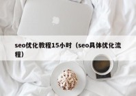 seo优化教程15小时（seo具体优化流程）