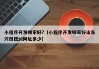 小程序开发哪家好?（小程序开发哪家好山东兴田德润网址多少）