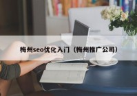 梅州seo优化入门（梅州推广公司）