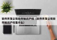 软件开发公司软件知识产权（软件开发公司软件知识产权是什么）